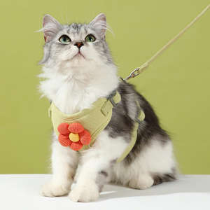 Correa para mascotas de dibujos animados más vendida, correa ajustable cómoda para exteriores, correa para gatos y perros con chaleco a prueba de Escape - Product Image 4