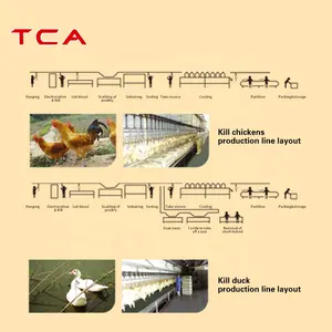 TCA Pig Abattoir Slaughtering Equipment Slaughter Equipment Pig Hair Removal Machine