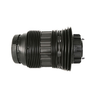 Amortisseurs pneumatiques arrière gauche et droit pour Porsche Panamera 970 2009-2016 97033353331 97033353332 Accessoires auto