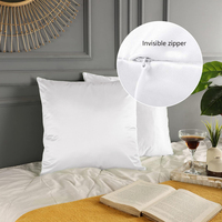 Housse de coussin décorative en satin doux avec fermeture éclair pour salon, commande en gros, logo personnalisé, ODM & OEM