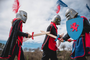 Top vente médiéval chevalier Style carnaval fête film Robe Costume chien visage casque pour soirée à thème - Product Image 6