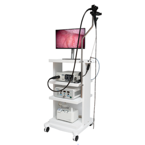 Gastroscopio e colonscopio medico gastrointestinale sistema endoscopico endoscopio gastroscopio veterinario endoscopio cane - Product Image 4