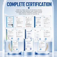 Purificateur d'eau potable sous évier pour cuisine, ultrafiltration 8 étapes, acier inoxydable, UV, 600 GPD, sans réservoir, osmose inverse