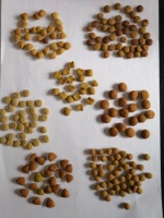 Extrudeuse à vis unique pour aliments flottants pour poissons Machine à granulés d'aliments pour poissons-chats Machine de fabrication d'aliments pour poissons pour animaux de compagnie