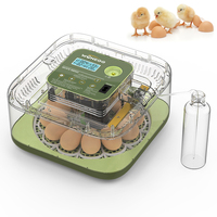 Nouvelle machine d'incubation automatique pour 12 œufs avec système de retournement automatique du moteur pour l'éclosion des œufs de poulet, de canard et d'oie, utilisation à domicile ou à la ferme