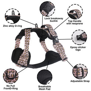 Set di Guinzaglio e Collare per Cani di Alta Qualità in Neoprene e Oxford, Regolabile, Lussuoso, Riflettente, Accessori Sportivi per Animali Domestici - Product Image 2