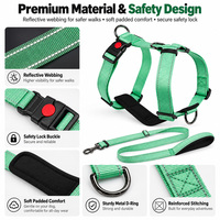 Kit de laisse et collier pour chien en nylon haute résistance, ajustement confortable, pour petits, moyens et grands animaux