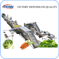 Automatische RVS 304 Turnkey complete productielijn voor diepvriesgroenten en -fruit, inclusief broccoli, groene erwten en aardbeien
