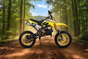 Motocicleta Todoterreno de 49cc para Niños, Precio Directo de Fábrica, Motocicleta de Cross para Edades de 3 a 12 Años, Envío Gratis - Product Image 6
