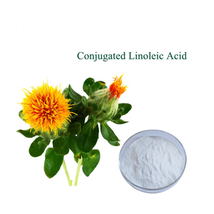 Acide Linoléique Conjugué (CLA) de Qualité Alimentaire en Poudre, 60% de CLA, Produit Phare - Product Image 3