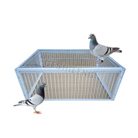 Accessoires pour pigeons, portes de cage à oiseaux blanches, trappe d'entrée en métal pour cage à oiseaux
