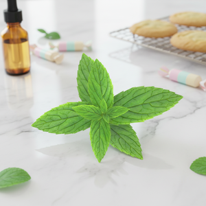 <strong>Mint</strong> Oil Flavor Concentrate - Intense Aromatic Essence for Premium Candies &amp; Baked Goods - Product Image 1