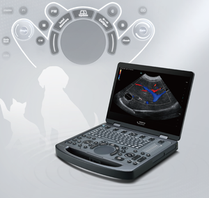 Ecógrafo Doppler Color Veterinario Portátil Mindray Vetus E5, Elastografía e Imagenología por Contraste Opcionales para Cardiología Animal - Product Image 3