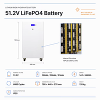 Batterie LiFePO4 sur pied 16 kWh 48 V 300 Ah 314 Ah avec BMS JK/JBD 200 A intégré, 6000 cycles pour stockage d'énergie solaire domestique
