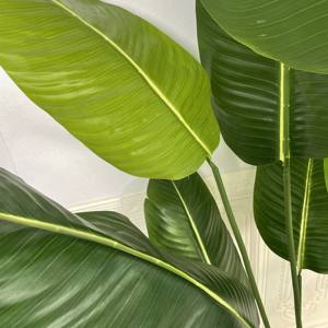 Vv308 Planta Artificial de Plátano de Alta Calidad, Árboles Artificiales, Planta Verde Artificial, <span class=keywords><strong>Ravenala</strong></span> Artificial, Decoración para Hoteles, Hogares y Cafeterías - Product Image 6