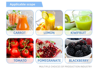 Industriële grote spiraalmotor automatische hoogproductieve sapcentrifuge/verticale fruit- en groentepers/appel-sinaasappel-druivenpers