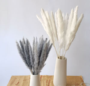 Yunnan-hierba gris natural para decoración, flores secas, serie gramineous cortaderia selloana - Product Image 5