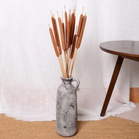 Bouquet de fleurs séchées naturelles de cattail, mini roseau véritable pour la décoration intérieure et les arrangements floraux - Vente chaude