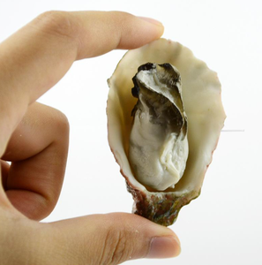 Artículos de decoración de hotel de comida falsa, juguetes para niños, modelo de ostra y almeja de barbacoa artificial - Product Image 5