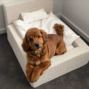 Cama para Perros de Espuma Viscoelástica Suave y Cómoda, Cama Ortopédica Refrescante para Mascotas, Cama para Perros y Gatos de Espuma Viscoelástica Suave - Product Image 2