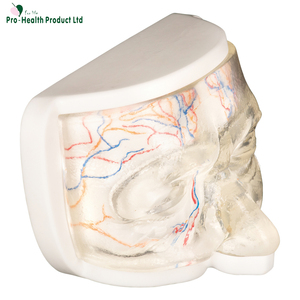 Simulateur ophtalmique : Kit d'entraînement à l'injection <span class=keywords><strong>de</strong></span> vaisseaux sanguins simulés pour étudiants en médecine, médecins, aide pédagogique, sciences médicales, OEM - Product Image 4