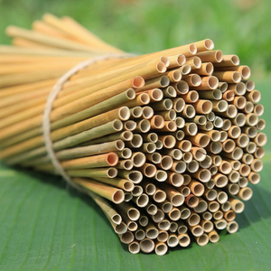 Pailles en herbe Eco2go 200 mm biodégradables pour voyage, usage minimaliste, fabriquées au Vietnam - Product Image 1