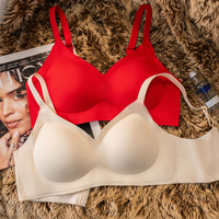 Sujetador OEM personalizado para mujer, sin costuras, push-up, cómodo, sin aros, con copas acolchadas, soporte de elevación, cómodo, inalámbrico, tipo camiseta