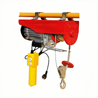 Palans électriques miniatures sans fil certifiés CE IP54, solution de levage efficace, 100 kg, pour la maison, le garage, le commerce de détail et les ateliers de maintenance