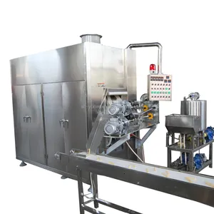 HG Snack Machine Machines entièrement automatiques pour la fabrication de mini gaufrettes de biscuits et de rouleaux d'oeufs