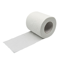 Papier toilette jetable en rouleaux jumbo, doux, biodégradable, en pâte de bois, sûr pour les fosses septiques, personnalisable OEM, vente en gros