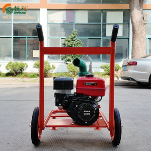 Unidad de gasolina Bomba de irrigación agrícola Motor Drive <span class=keywords><strong>Kill</strong></span> Pump Unidad de bomba centrífuga - Product Image 5