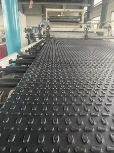 Tapis de protection <span class=keywords><strong>PE</strong></span>-HD haute densité Chine 4x8 'Tapis de route Uhmwpe Tapis de protection au sol <span class=keywords><strong>PE</strong></span>-HD - Product Image 4