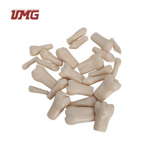 UM-U10F用直根替换牙齿的恒牙 (儿童) - Product Image 3