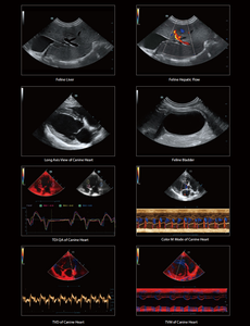 Sistema de Ultrasonido Veterinario Mindray Vetus 8 con Carro, Doppler Color, Pantalla de 23.8'', Certificado CE, Dispositivo Médico Clase II, 1 Año de Garantía - Product Image 2