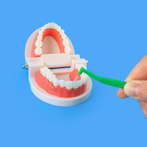 Cepillo <span class=keywords><strong>Interdental</strong></span> Ecológico de Madera Orgánica Tipo L para Limpieza de Espacios en el Hogar, Hotel y Viajes - Product Image 6