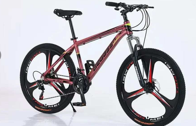 Mountain bike