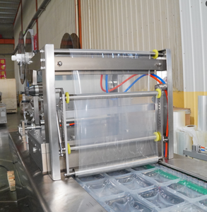 Máquina de Envasado al Vacío Termoformadora Automática Pequeña DZXL-420-350 para Calamar Desmenuzado y Muslos de Pollo - Product Image 4