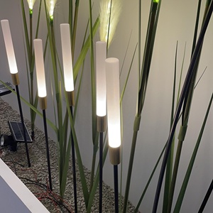 12V <span class=keywords><strong>Acrylic</strong></span> LED sậy ánh sáng 100cm ngoài trời không thấm nước Công viên trang trí - Product Image 1