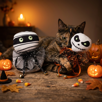 Jouet interactif en feutre et peluche à l'herbe à chat pour Halloween, baguette de dentition résistante aux morsures pour chatons, fournitures pour animaux de compagnie