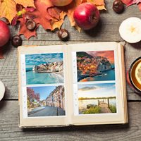 50 pcs 6 trous et 2 pochetsTrading Gaming Card Sleeves Stockage Portefeuilles Album Page Collection Timbre Enveloppe Manches