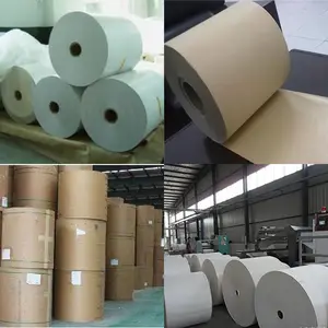Wholesale Price PE/PLA Coated Paper Rolls For Making Paper Cups