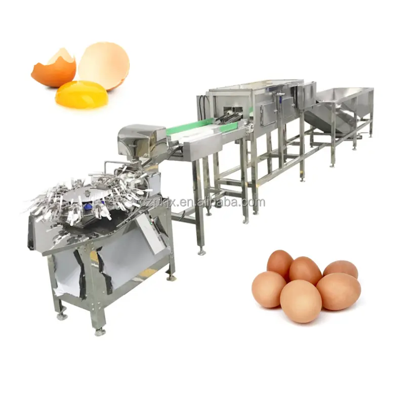 계란 세탁기 오리/메추라기 계란 청소 기계 거위 계란 채점 기계