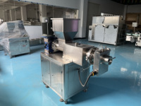 Petite machine automatique mini boudineuse pour la fabrication de pains de savon extrudeuse découpe de savon machine cutter avec tampon