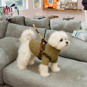 Winter Warm Elastic Knit Pet Sweater for Dogs and <strong>Cats</strong> XS-XL Solid Color Pullover Hoodie Comfortable Casual Teddy Style <strong>Jumper</strong> - Product Image 2