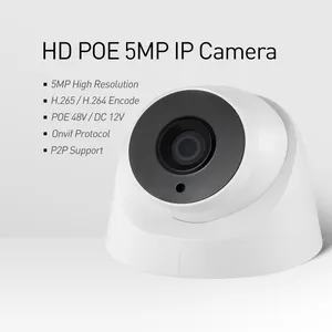 Revodata 5mp Binnenkoepel Ip Camera Nachtzicht Beveiligingscamera Cctv Bewaking (I3004-P-TS)