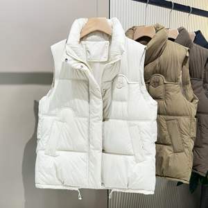 Chaleco Nuevo de Otoño e Invierno 2024, Chaleco de Algodón con Cuello Alto para Mujer, Prenda Exterior de Algodón Holgada y Moderna - Product Image 1