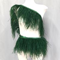 Frange de plumes d'autruche en gros, 15-18 cm, 2 plis, dentelle de plumes à coudre pour vêtements, robes, costumes, pyjamas, bricolage, artisanat, décoration