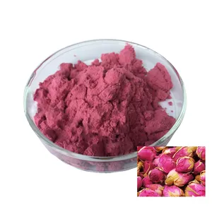 Supply Chinese Supplier Rose Petals Flower Powder for Skin Care Petal Concentrated Lyophilized