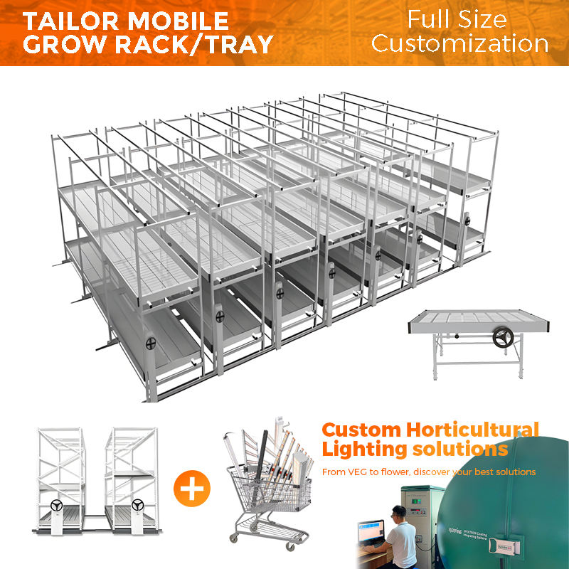 การปรับแต่ง