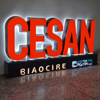 Enseigne personnalisée Carrey Sign, enseigne d'entreprise en acrylique 3D LED intérieure/extérieure, logo de marque personnalisé pour entreprise, magasin